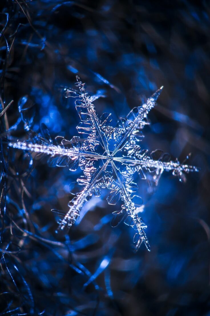 Натан Мирвольд снежинки