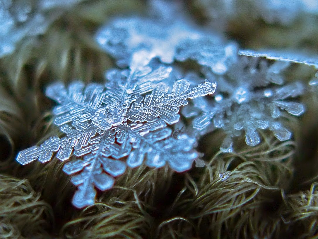 Зима снежинки фото