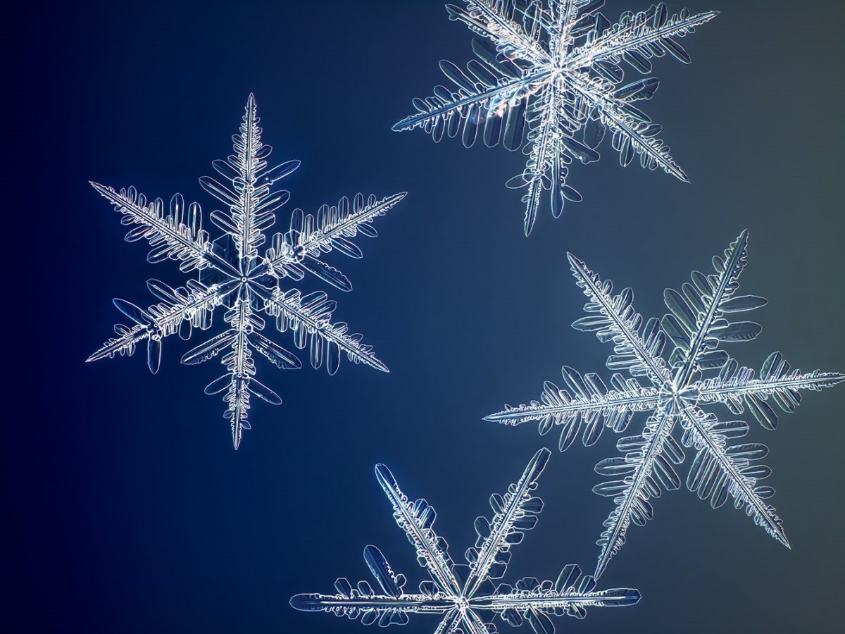 Снежинки настоящие