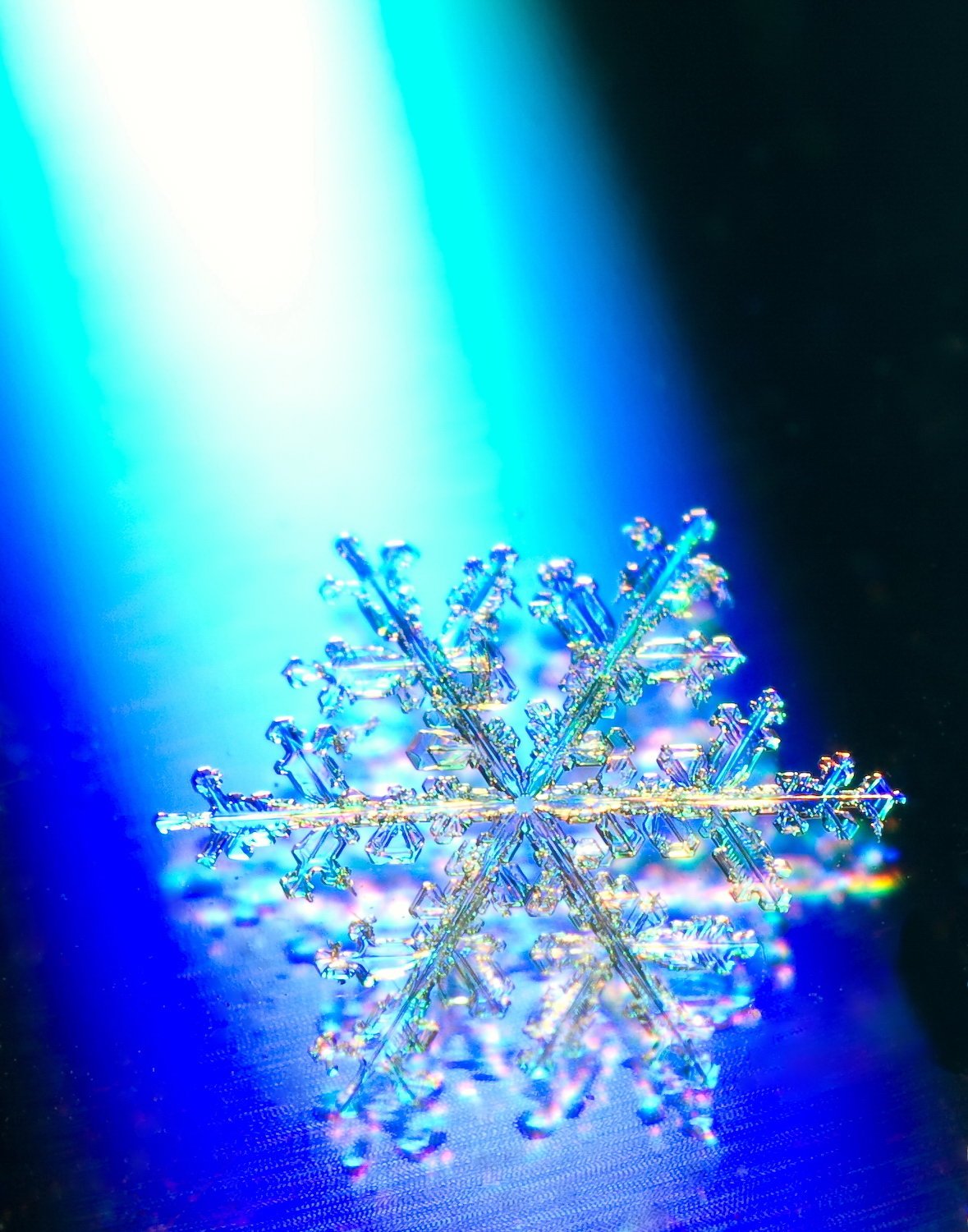 Зима снежинки