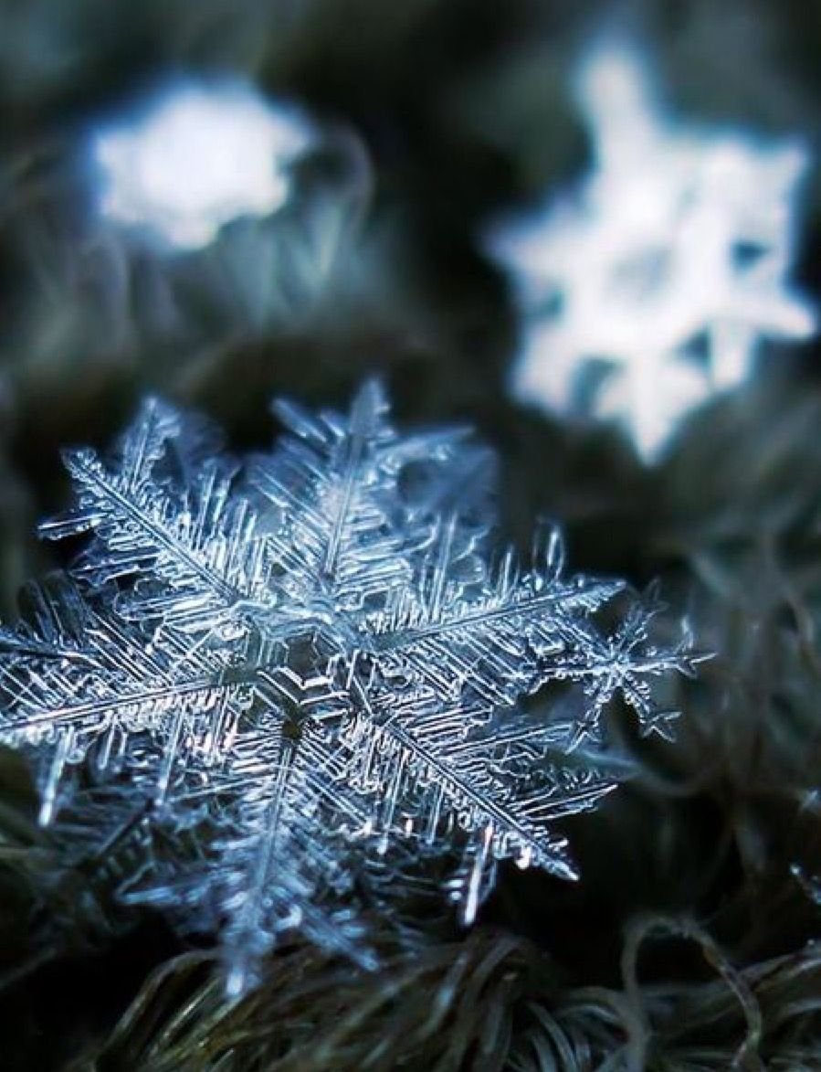 Снежинки в природе