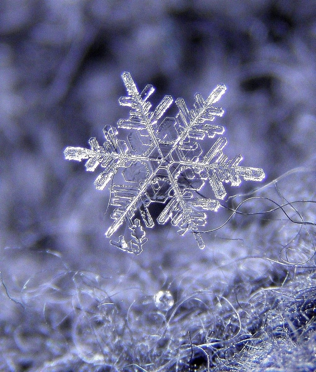 Зимние снежинки