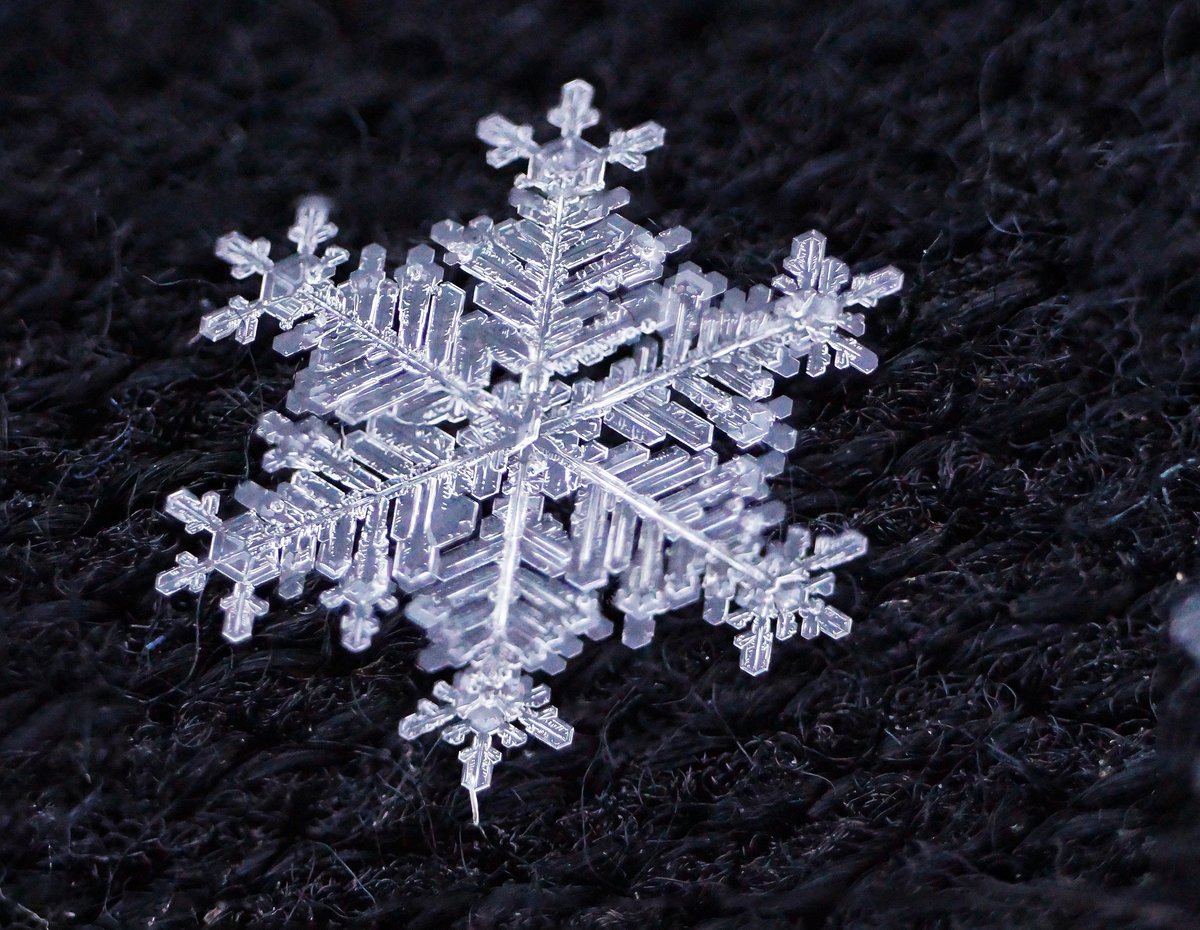 Алексей Клятов снежинки