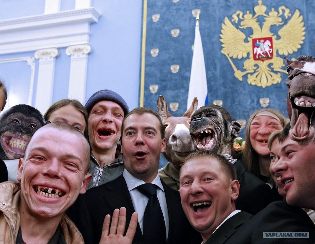 Высказывания про дебилов