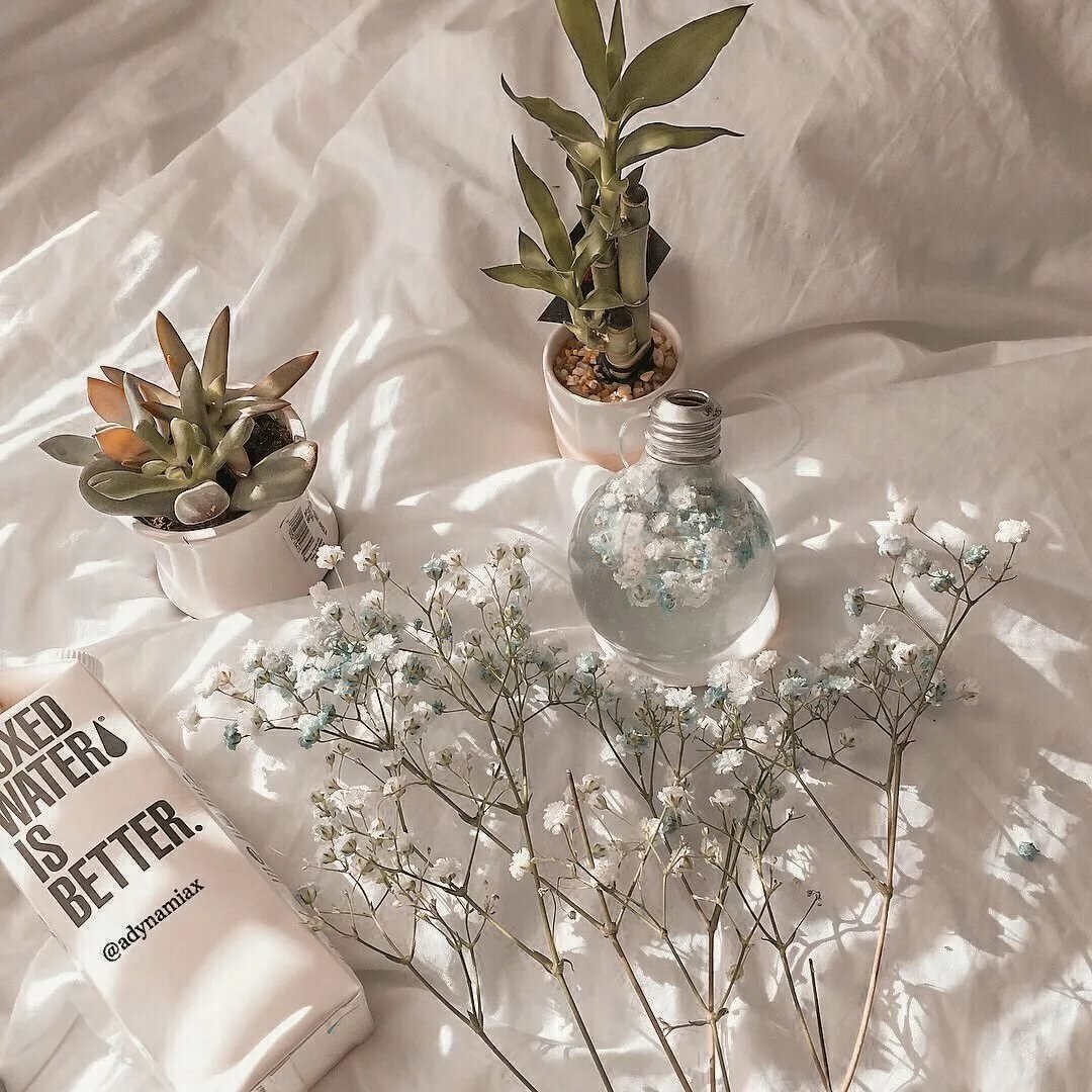 26 Февраля праздник