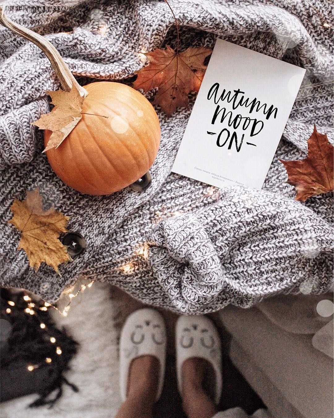 Уютная осень