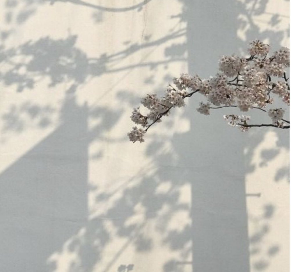 Цитаты с добрым утром