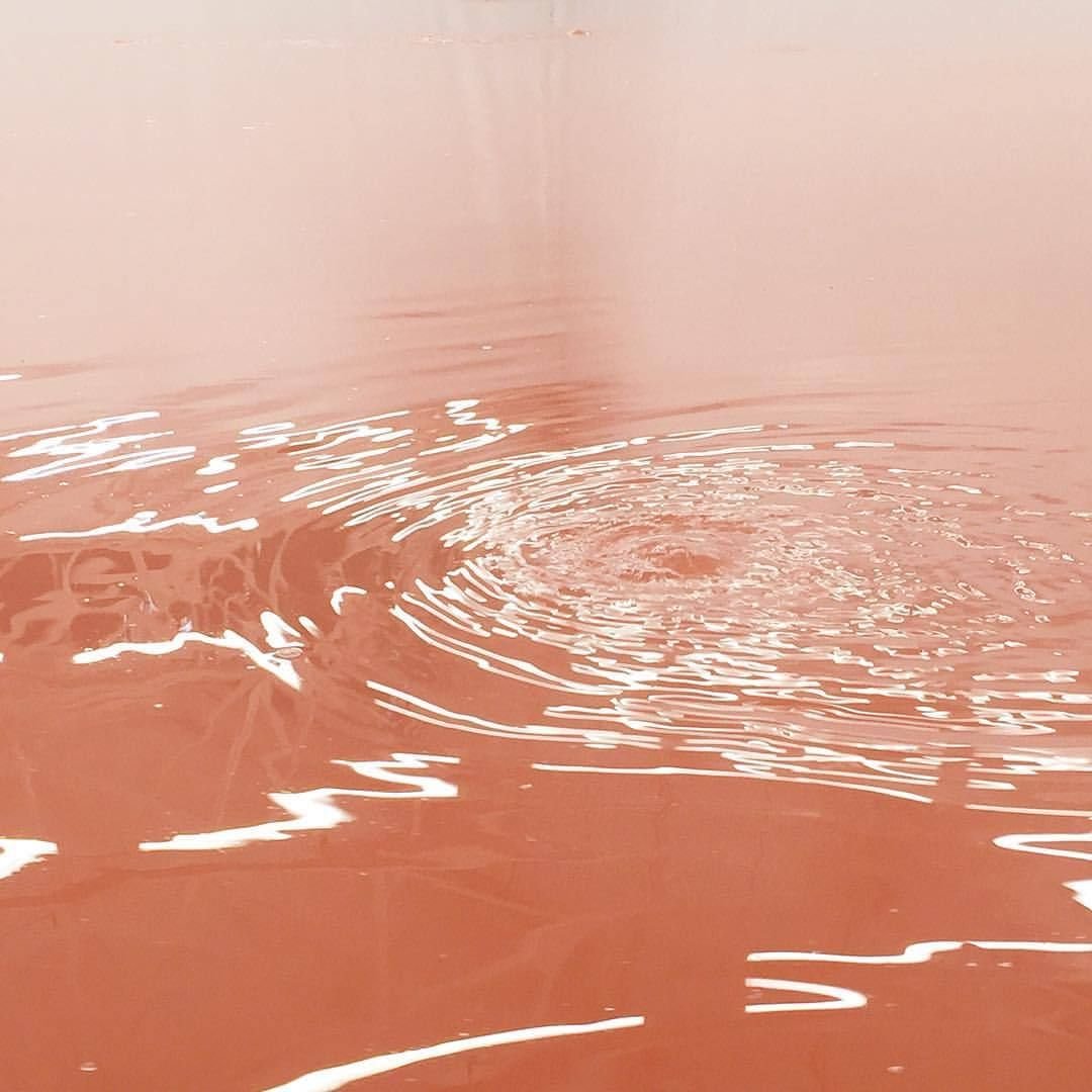 Осенние уютные надписи