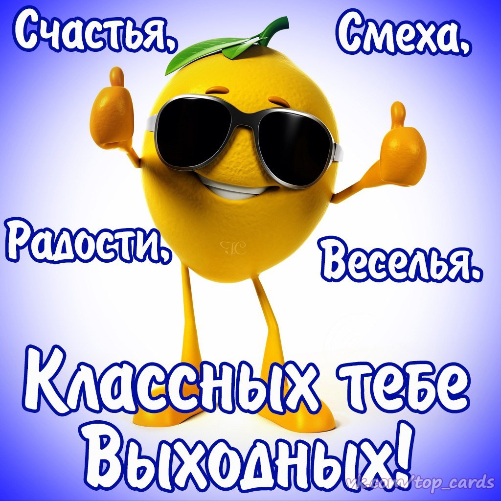 Праздничный толстый кот