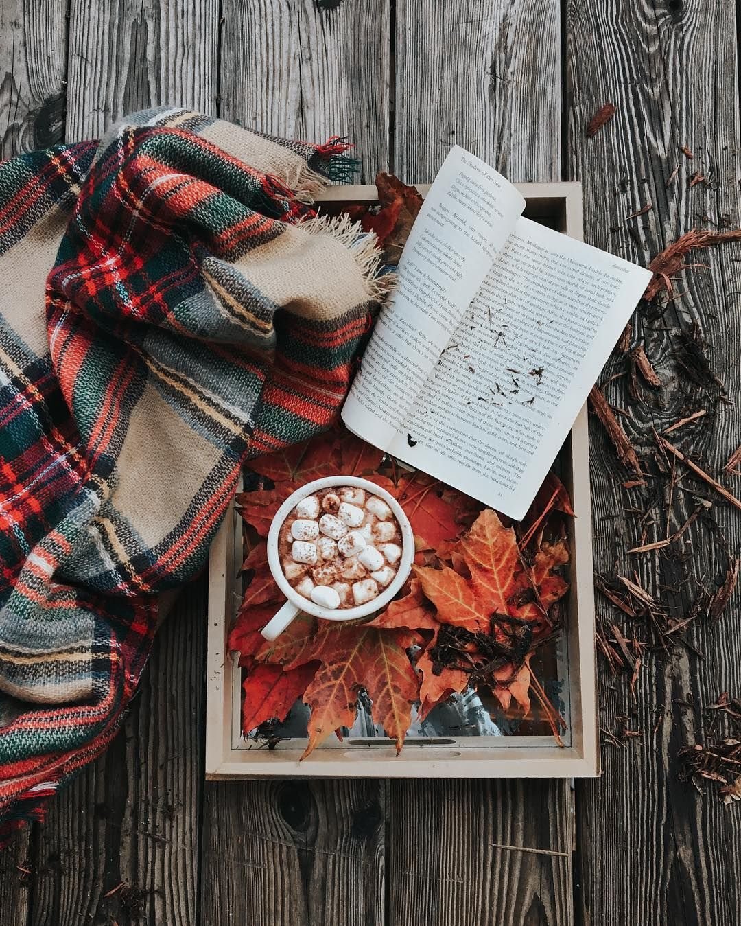 Эстетика бежевый Минимализм