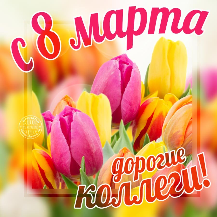 Тюльпаны открытка