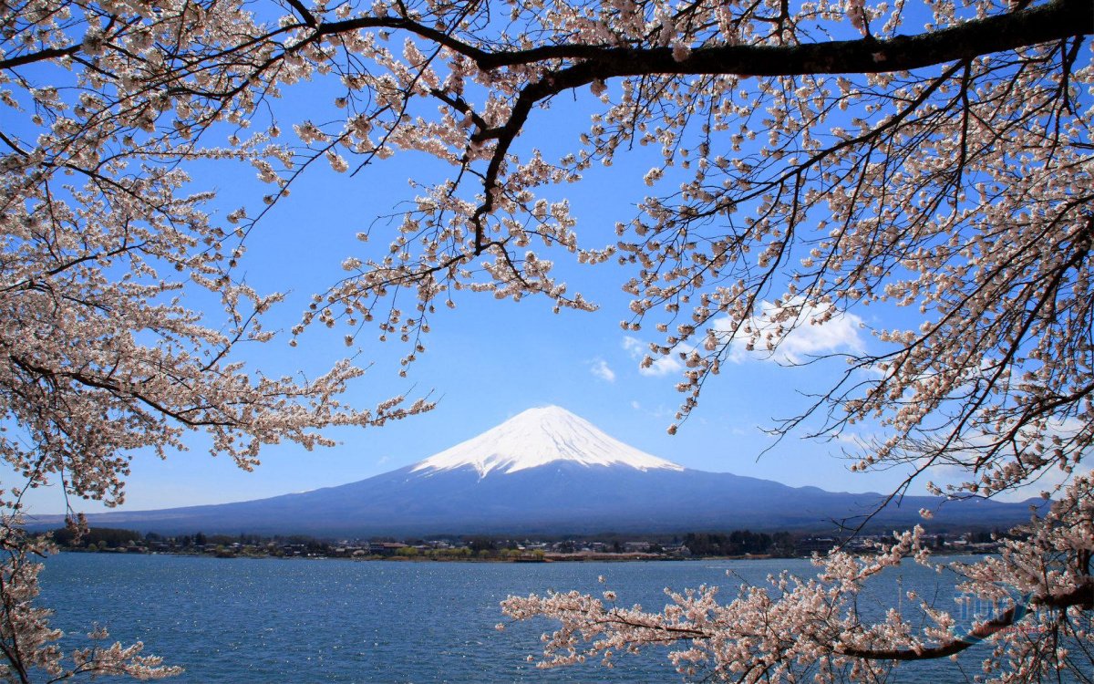 Киото Фудзияма