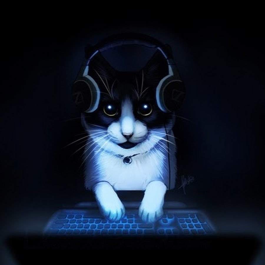 Кот в наушниках