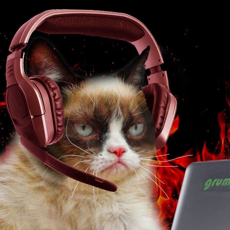 Животные с наушниками