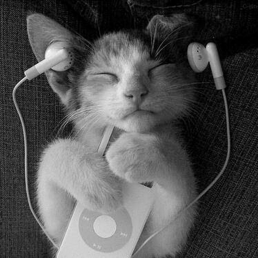 Валеришка Кэт