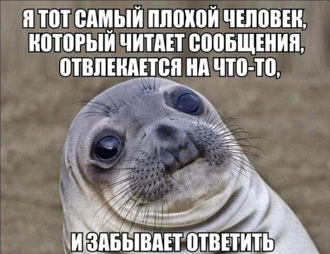 Мем про подругу овцу