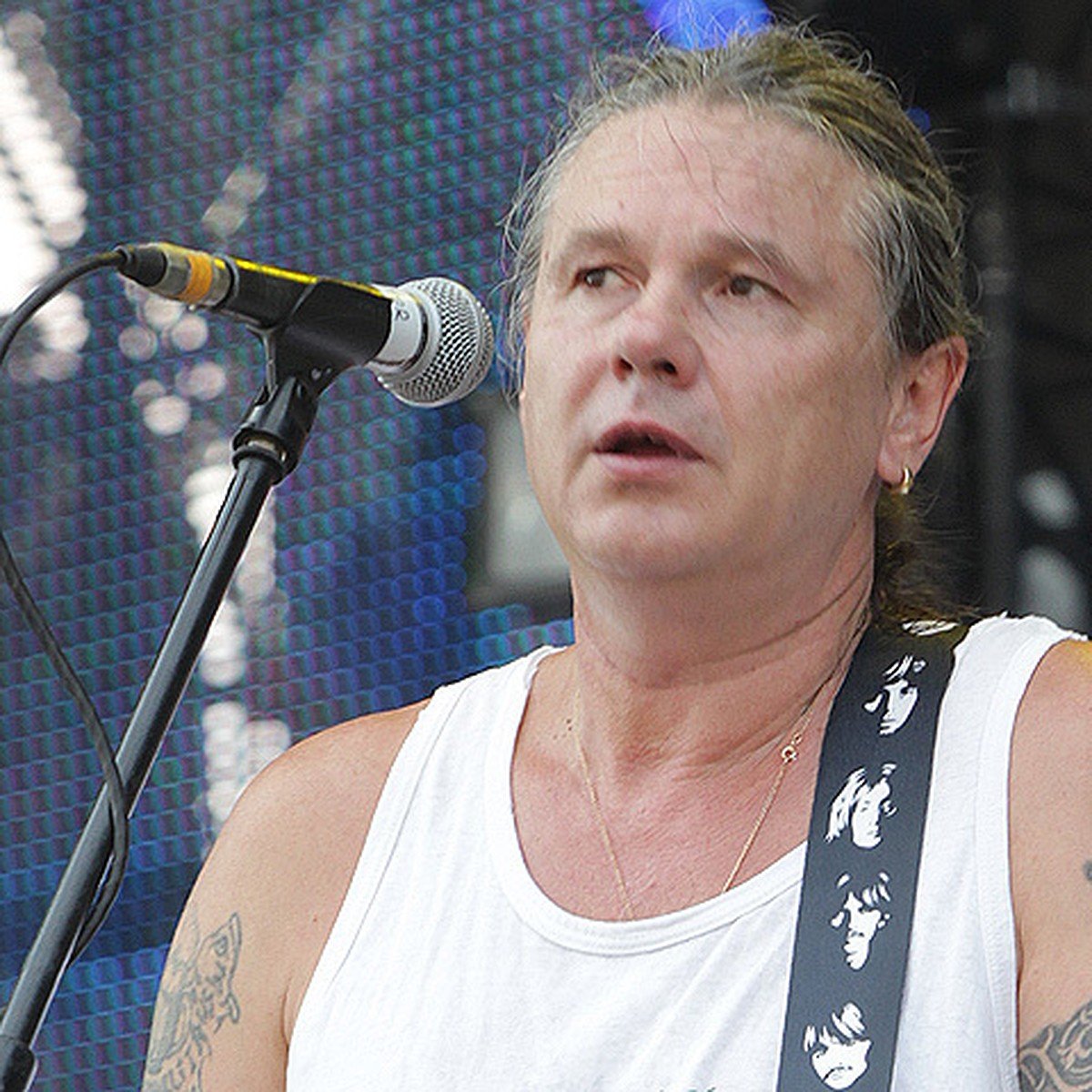 Чиж птица на белом фоне