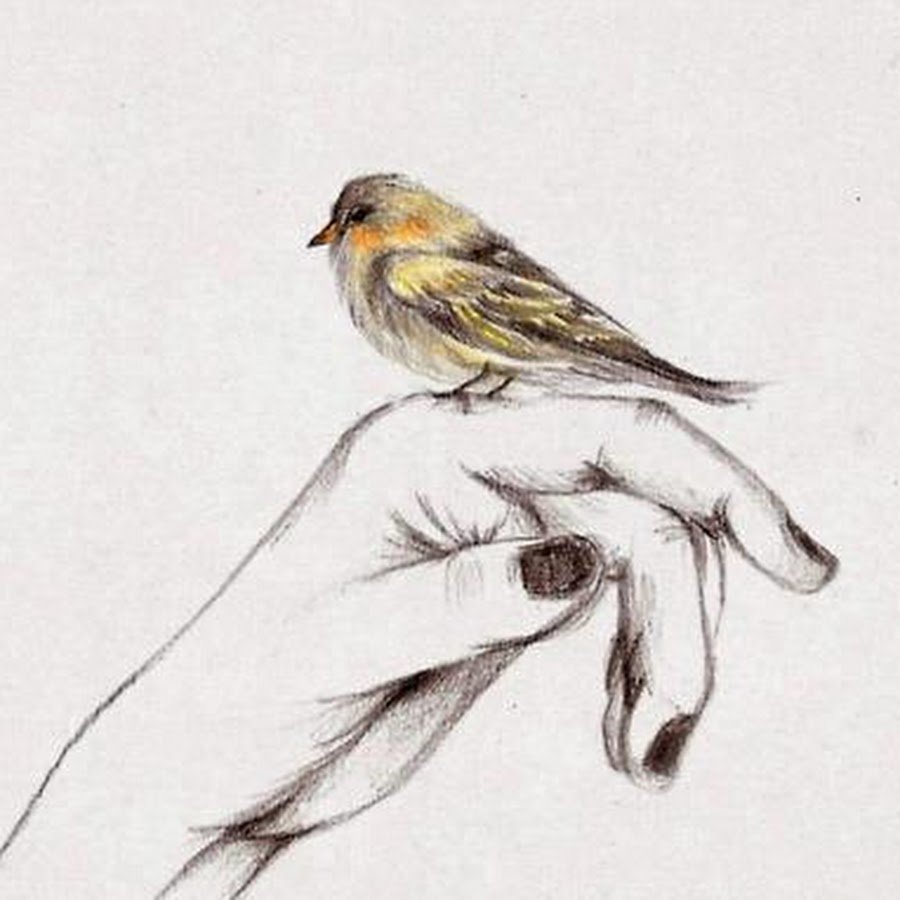 Чиж эскиз тату