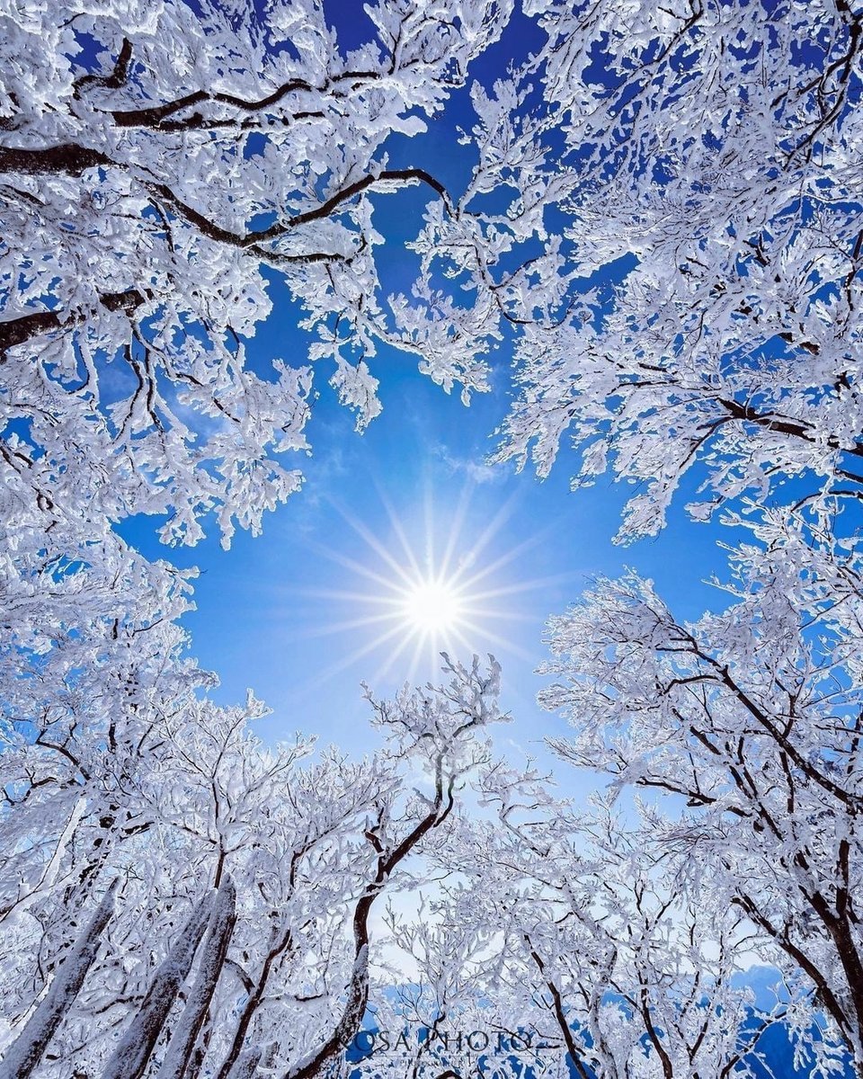 Снег и солнце