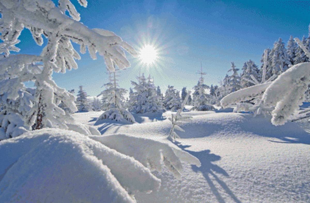 Зимнее утро