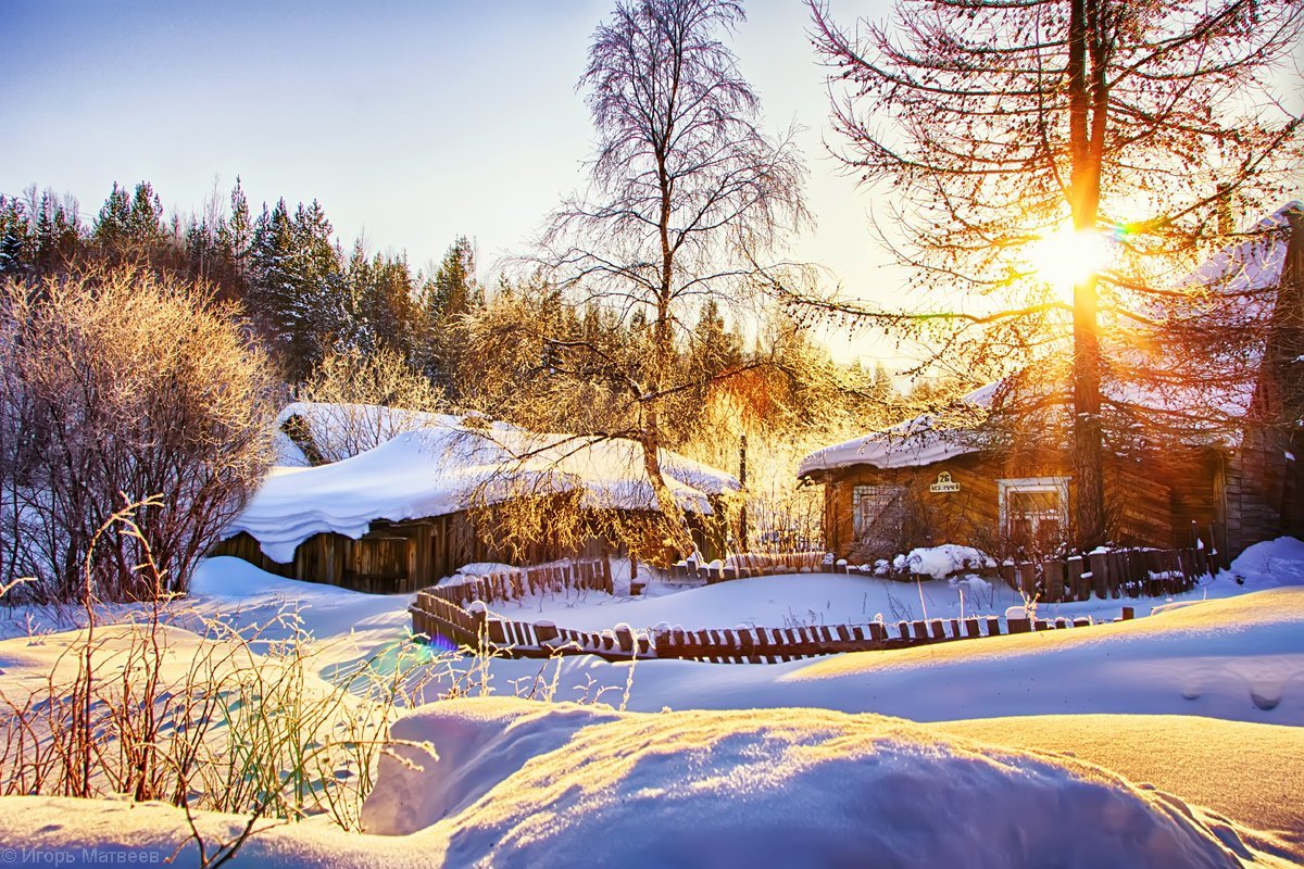 Солнечный зимний день