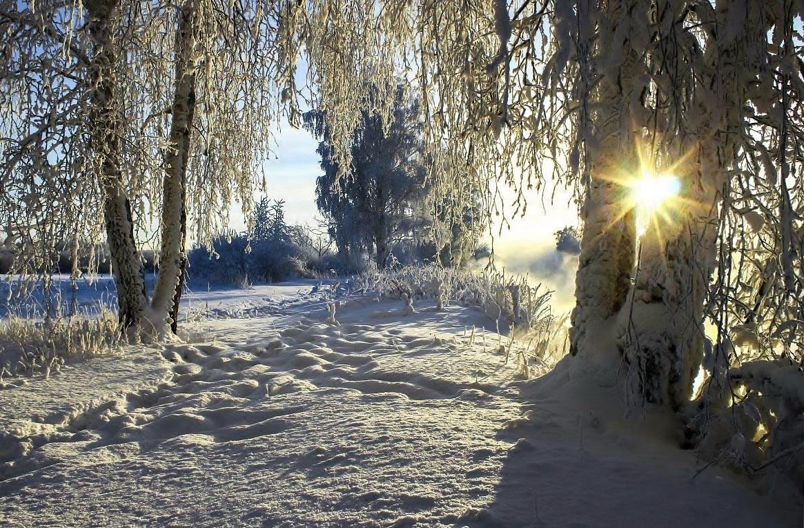 Зимний Солнечный пейзаж