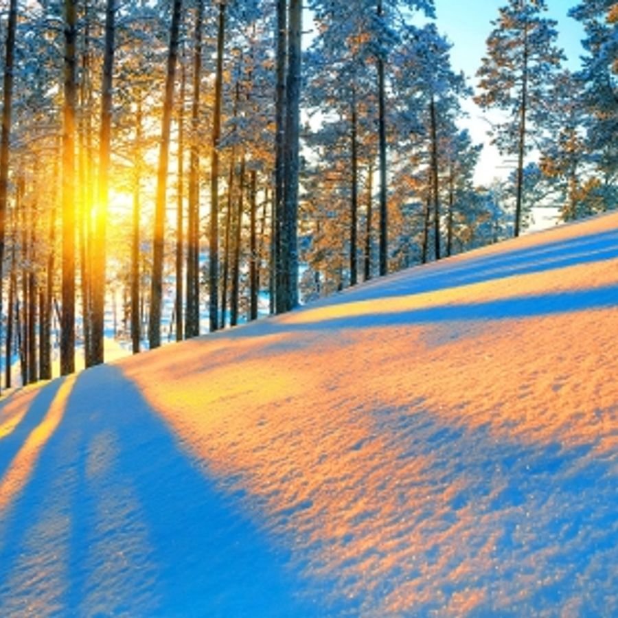 Зимний рассвет