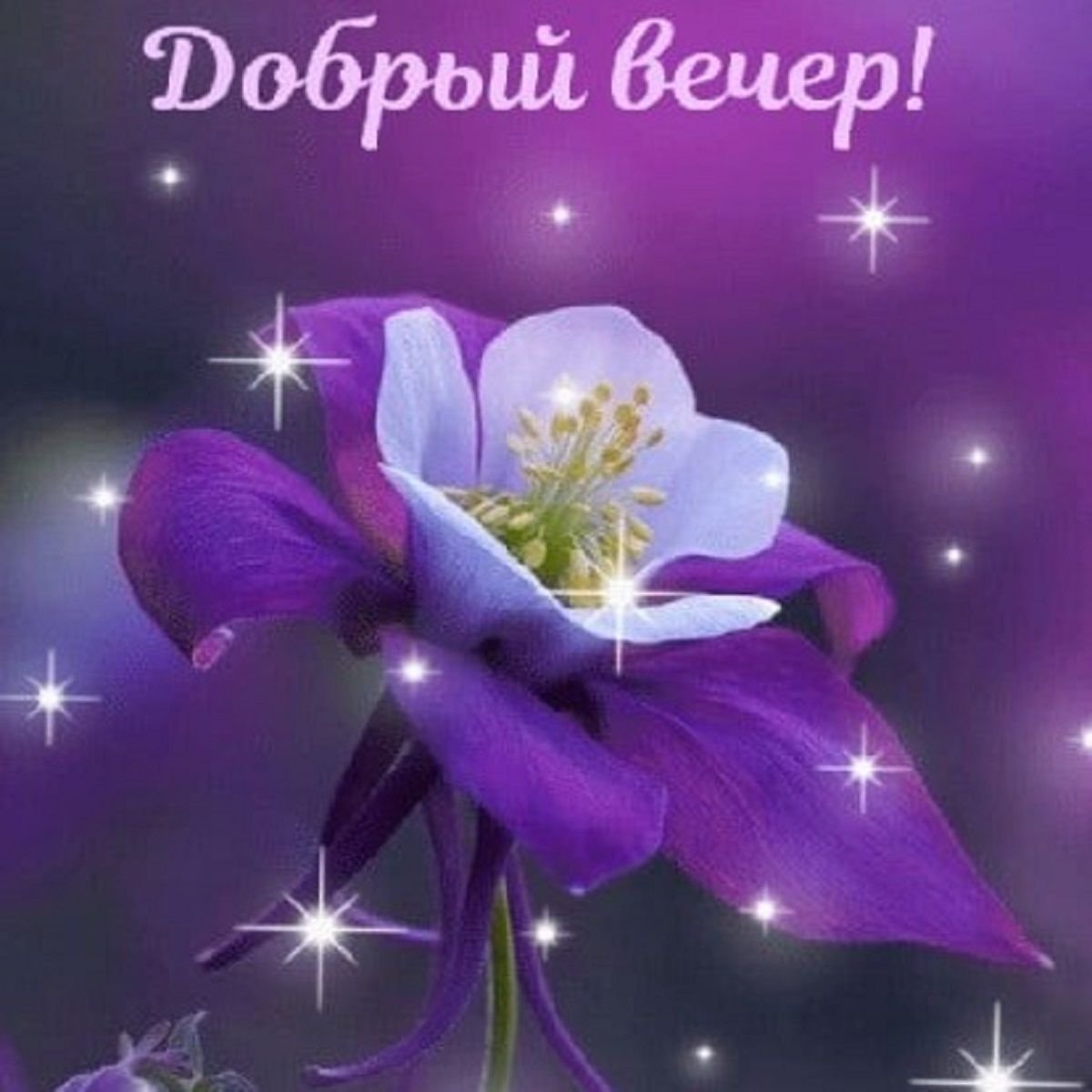 Сладких добрых снов