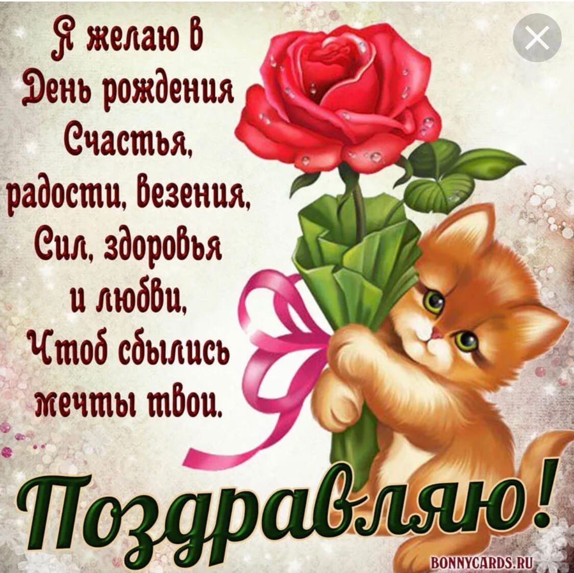 С днём рождения Анечка