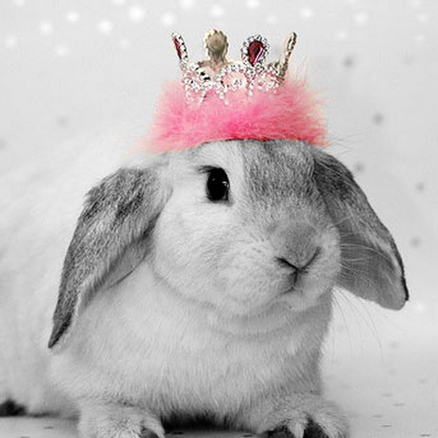 Стикеры спокойной ночи