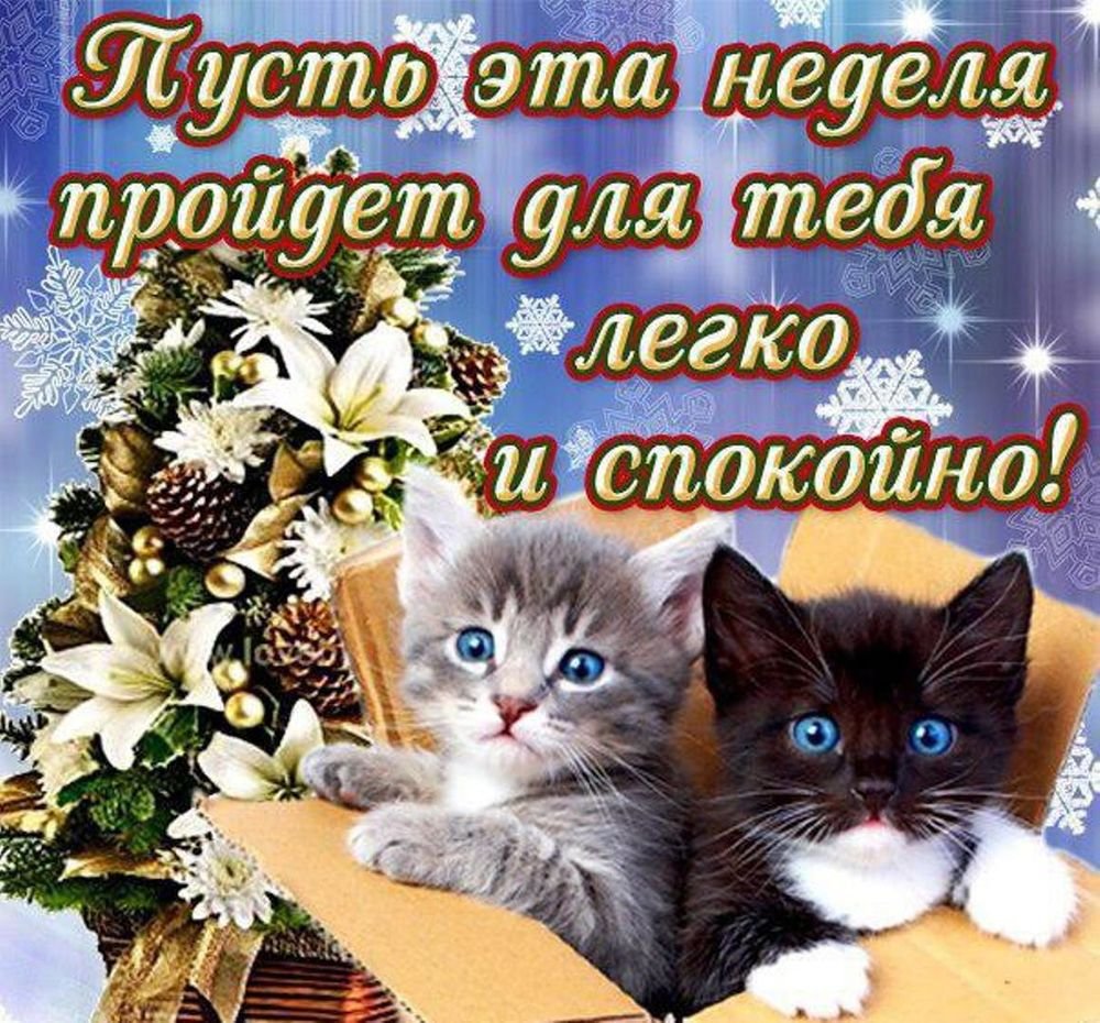 Пожелания удачной недели