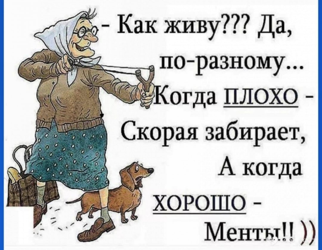 Цитаты смешные с юмором