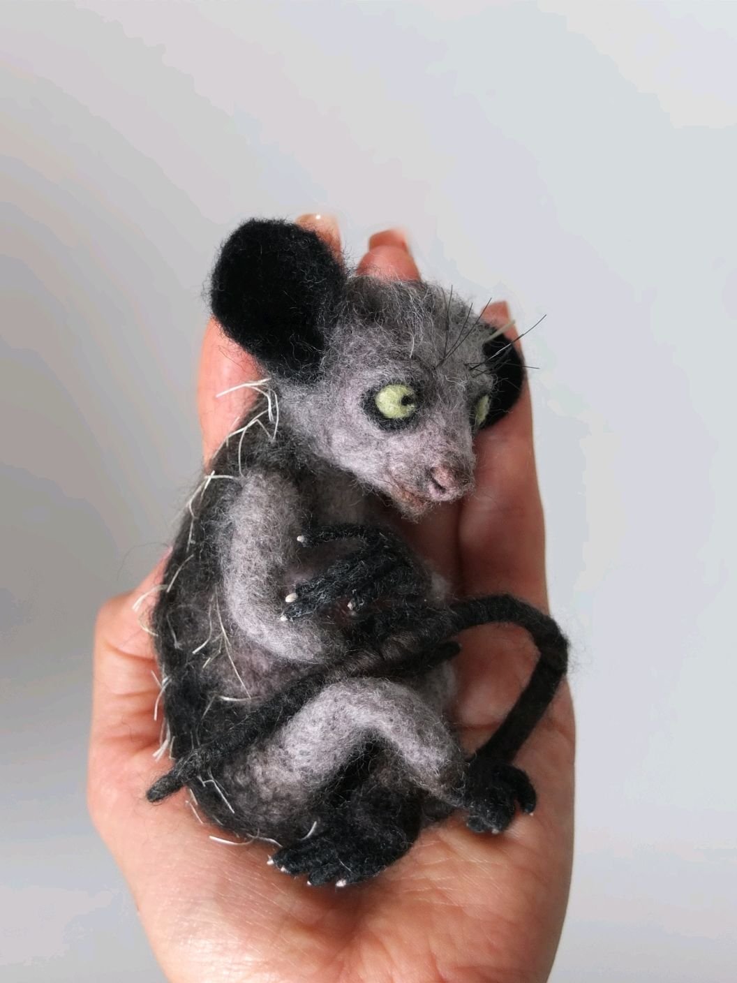 Мадагаскарская руконожка ай-ай