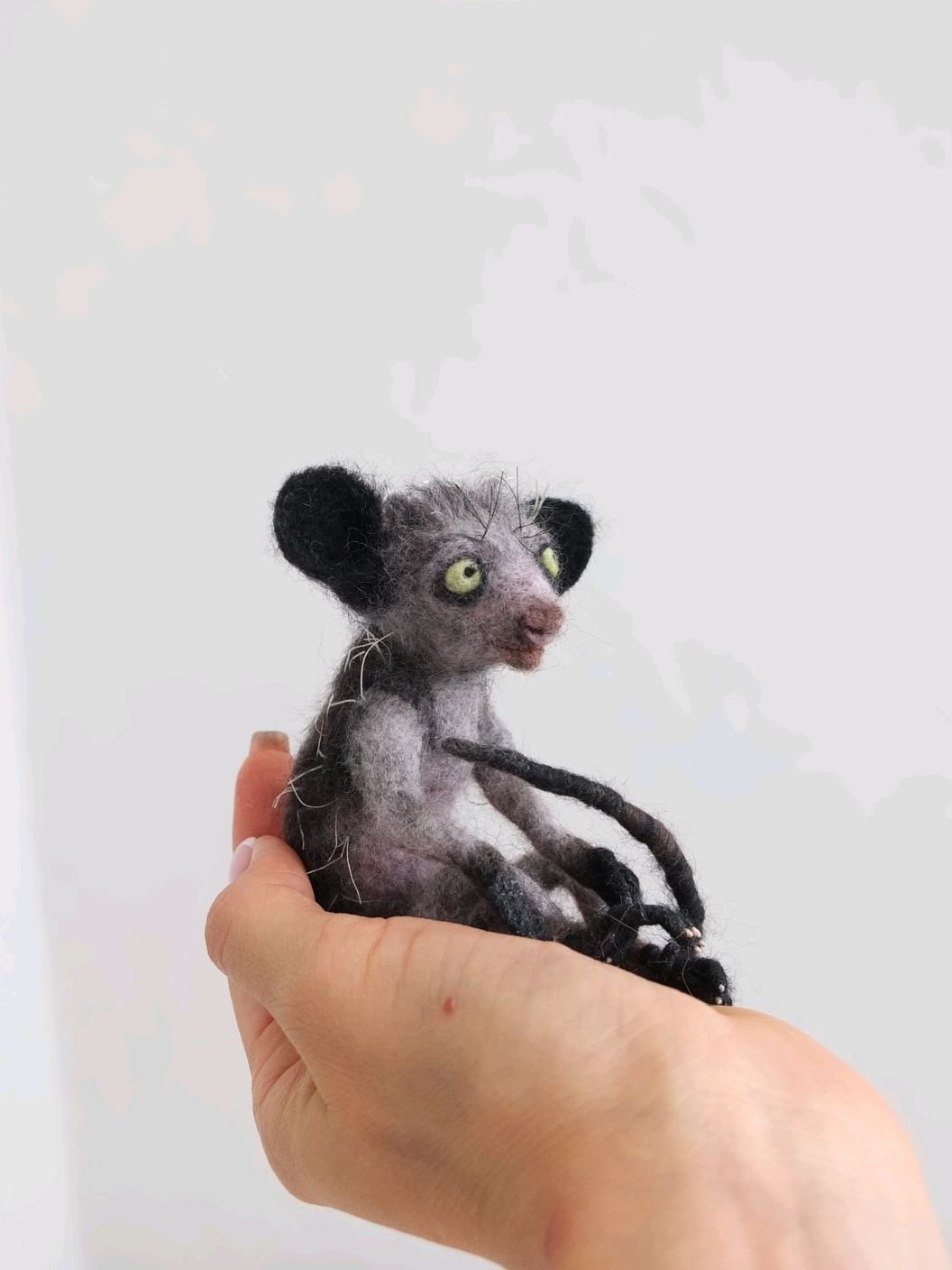 Мадагаскаская сороконожка