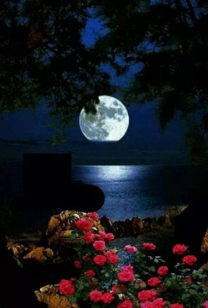 Лунный свет в городе