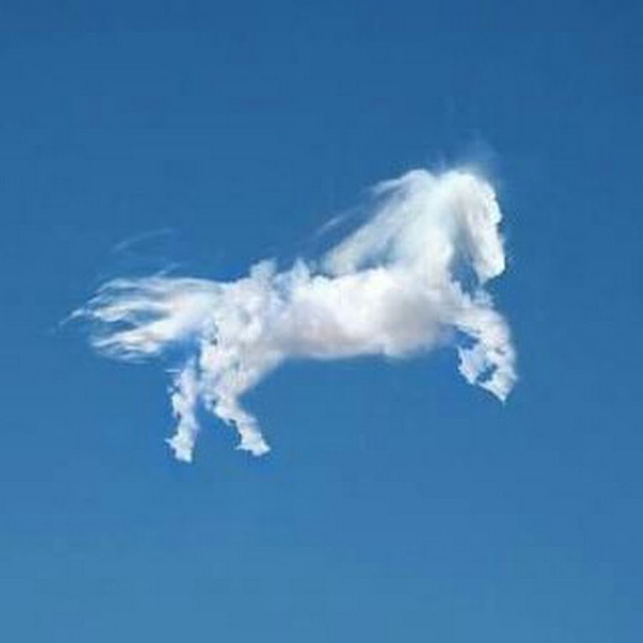 Трям Здравствуйте мультфильм