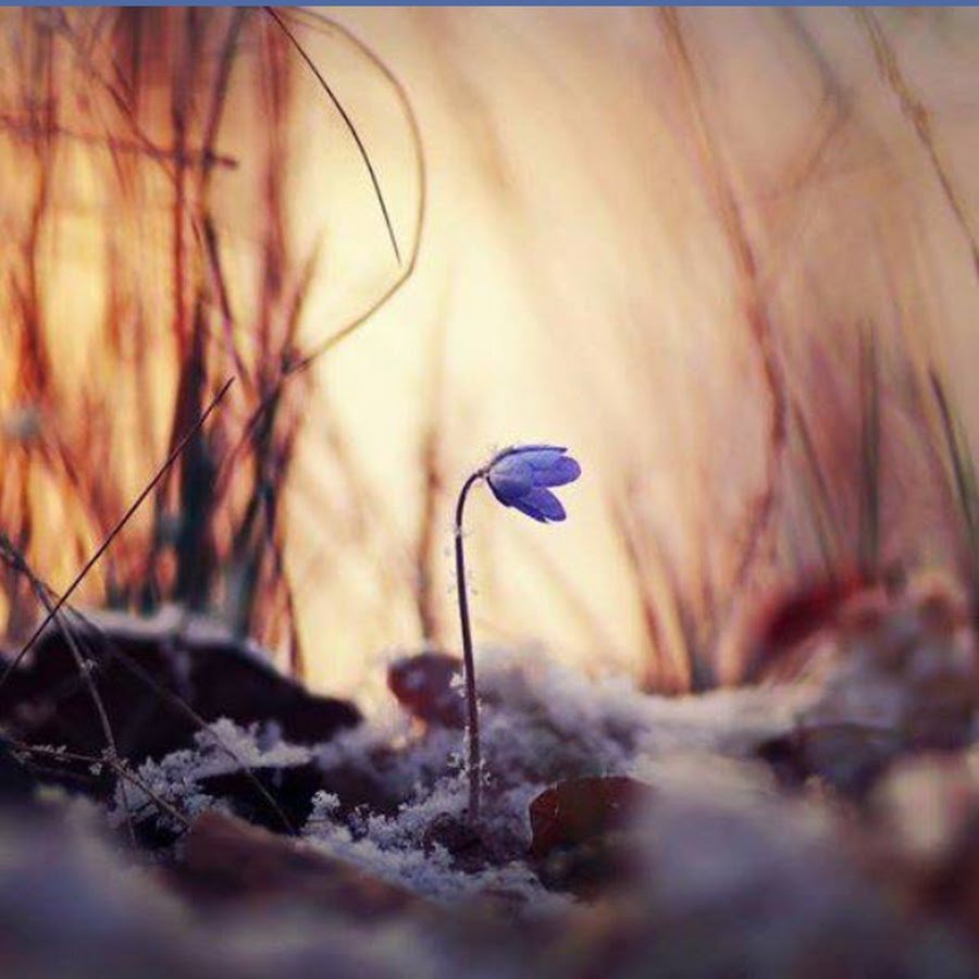 Грустная Весна