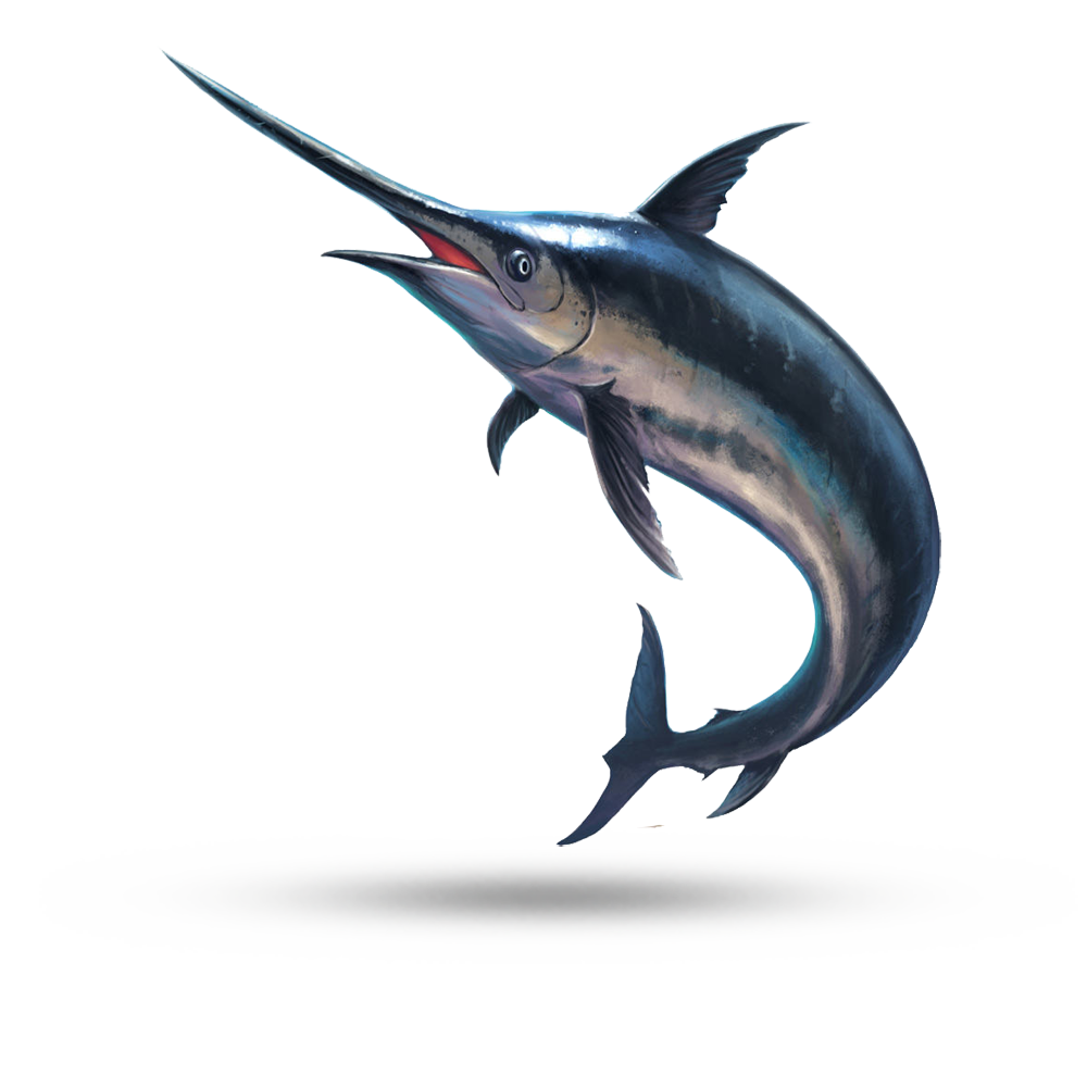 Рыбка Марлин на прозрачном фоне