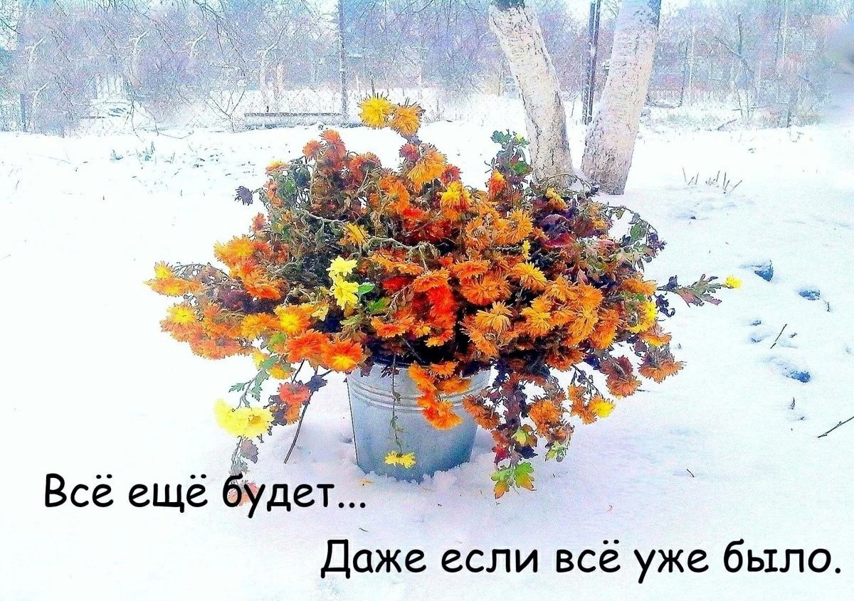 Все еще будет картинки