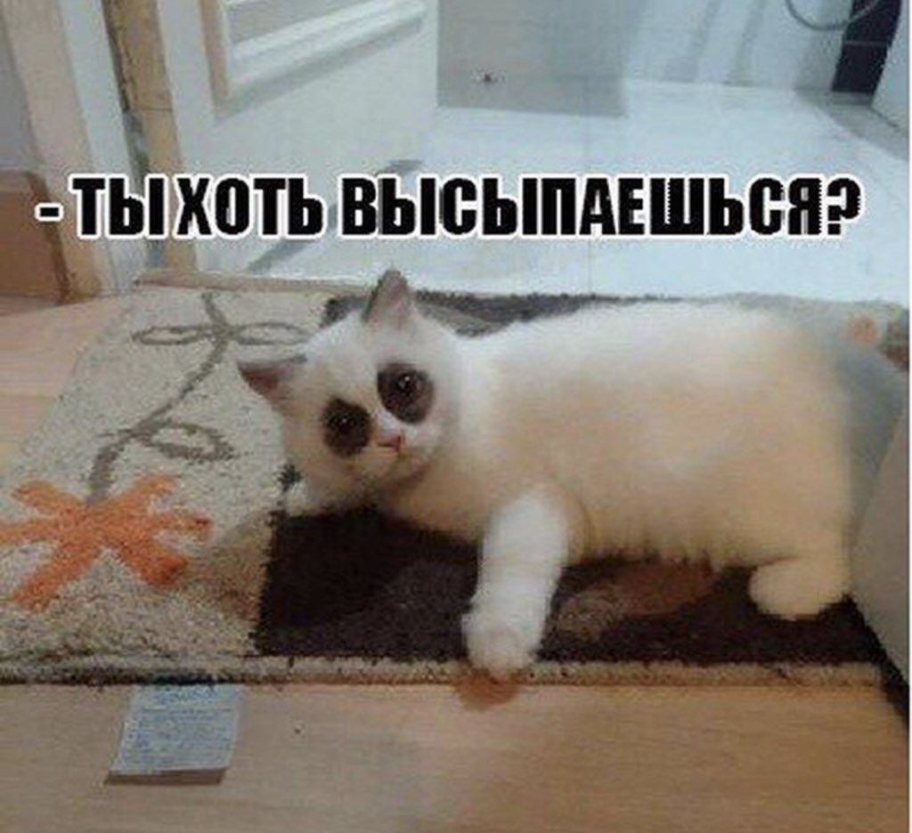 Идеи для фотосессии Эстетика