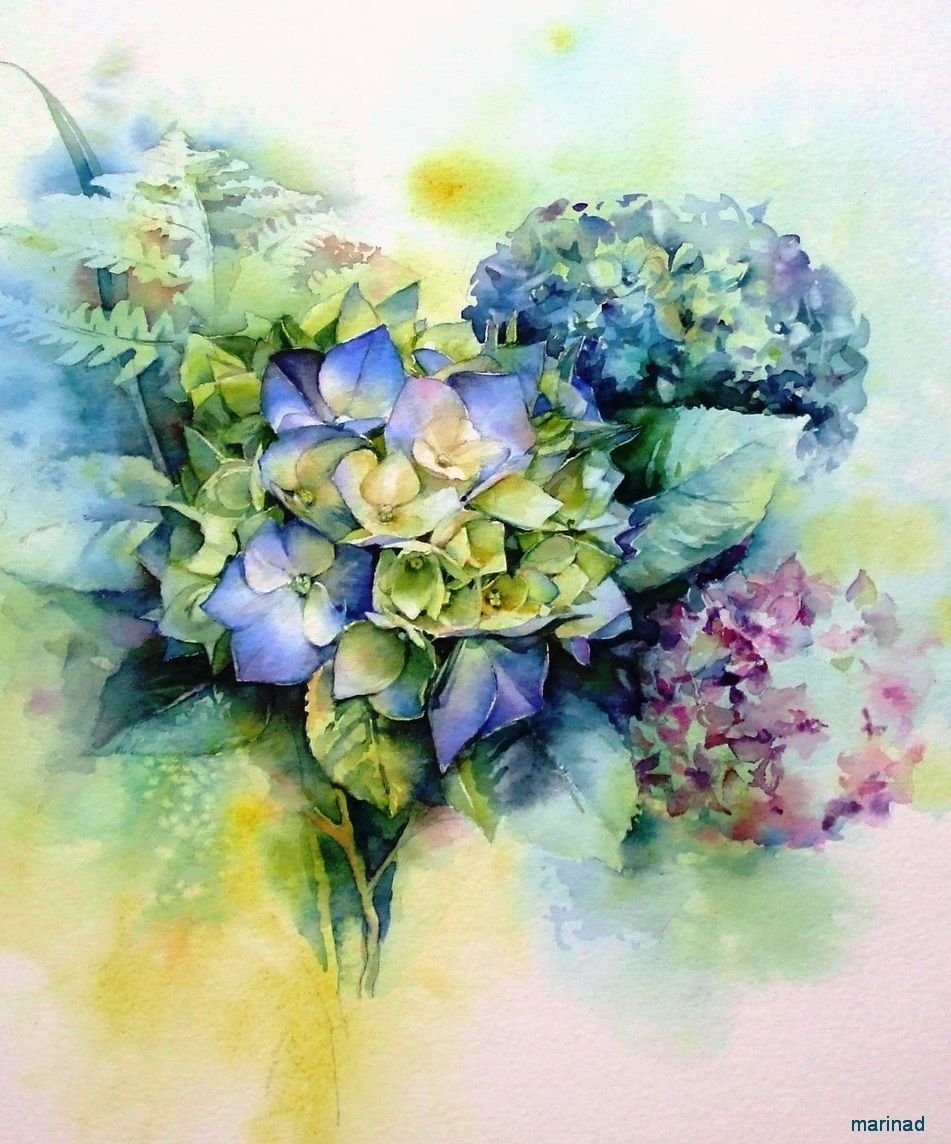 Зеленая гортензия акварелью