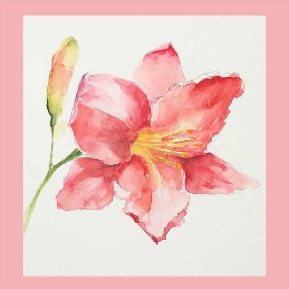 Цветы для рисования акварелью