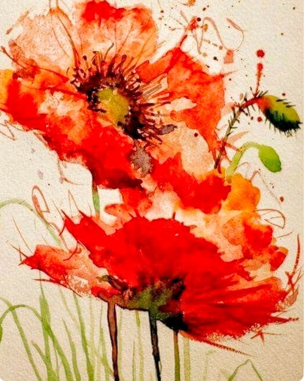 Маки референс