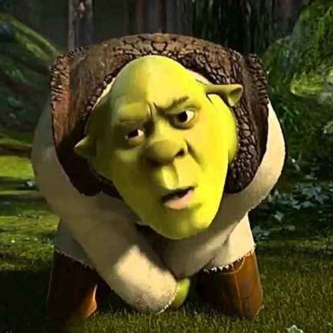 Shrek is Love