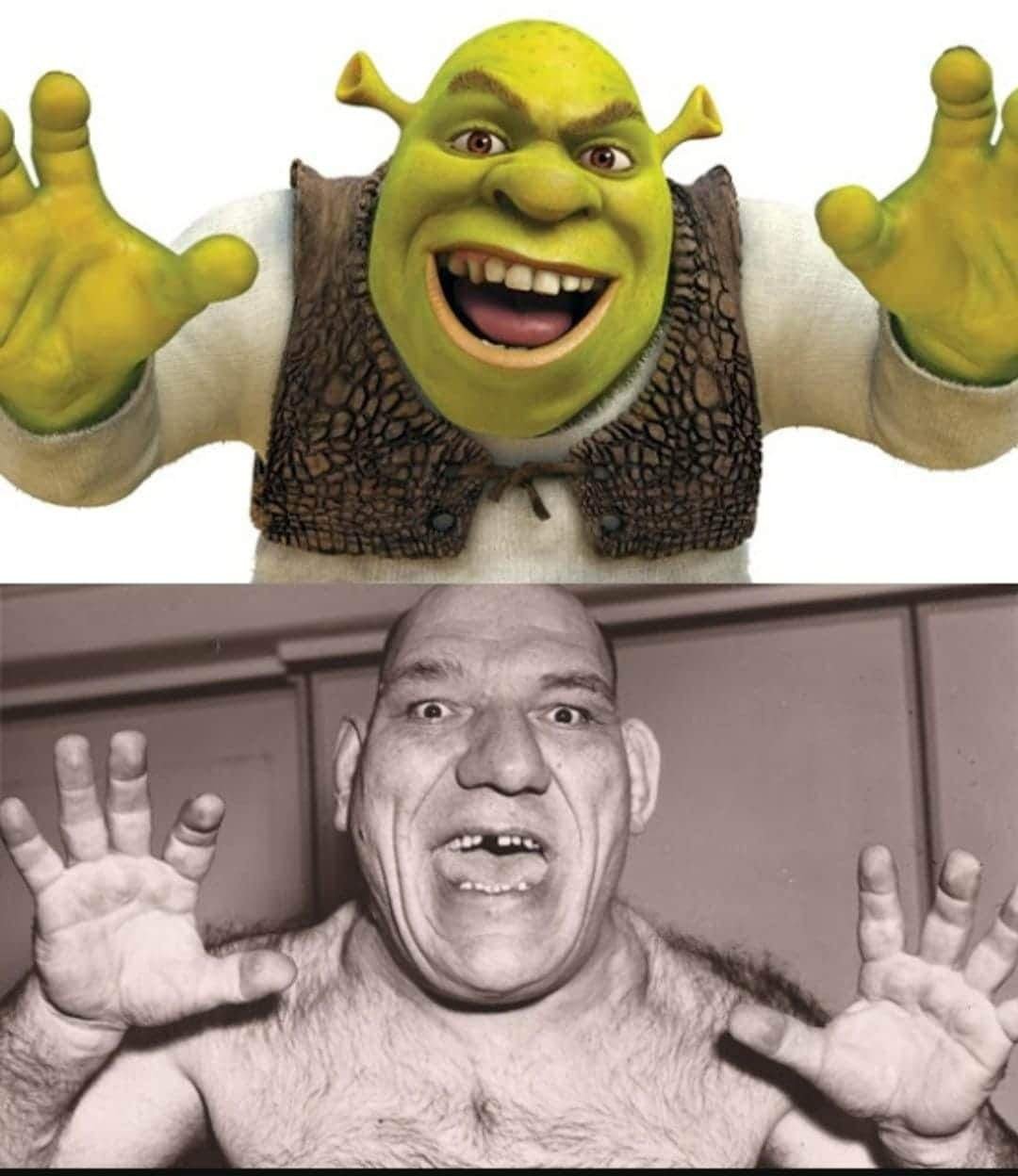 Шрек и Фиона Шрек 1