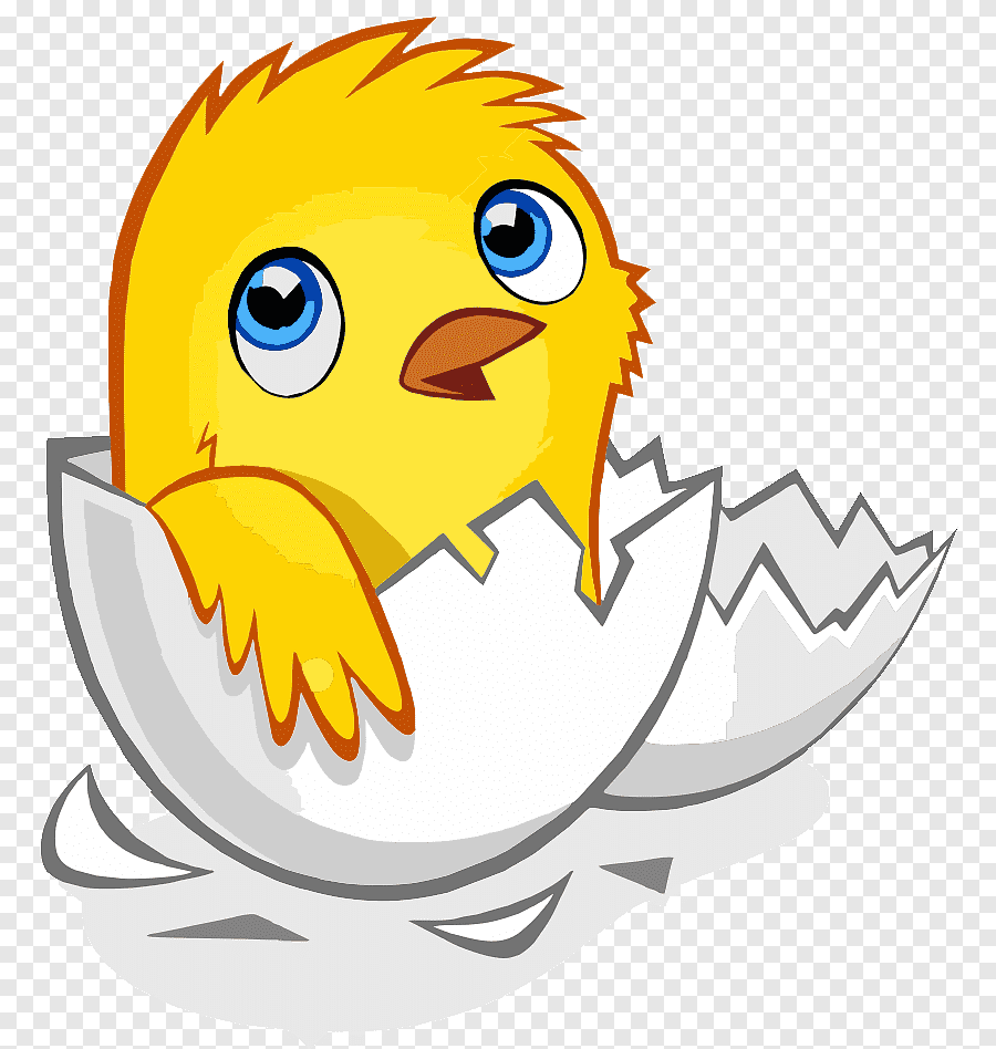 Птенчик в яйце