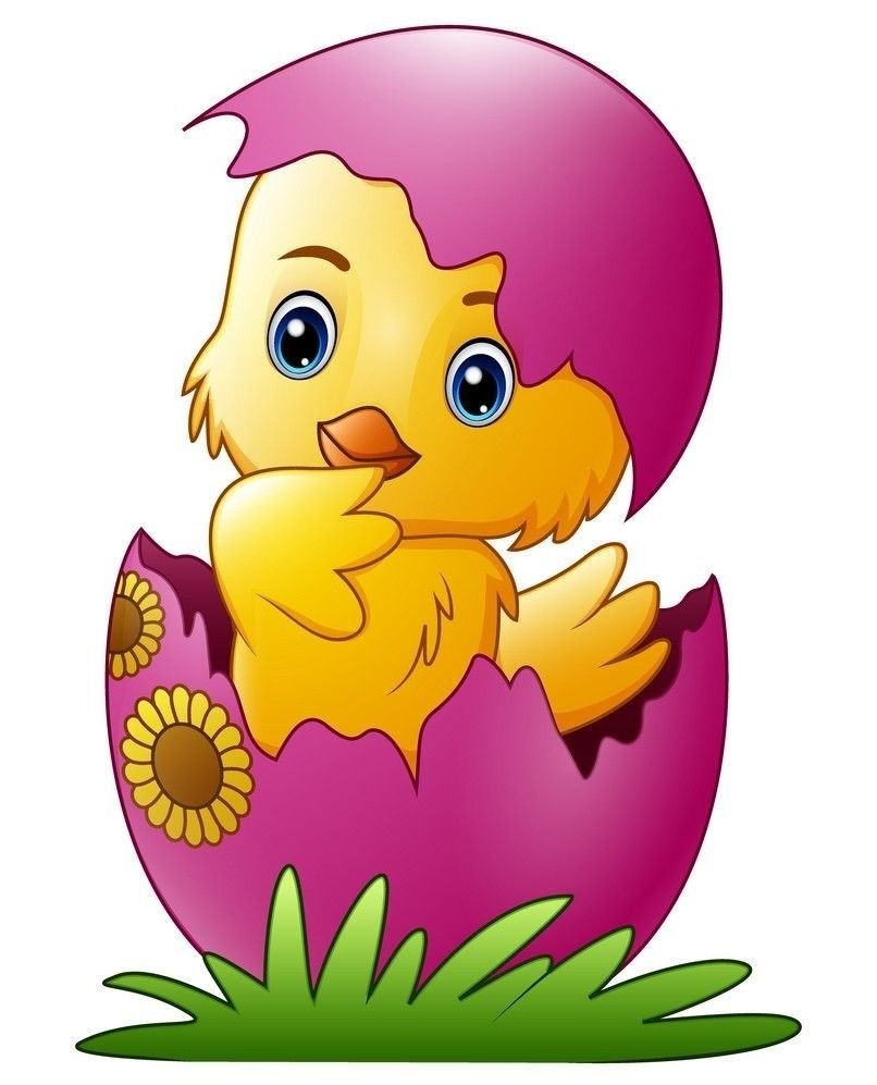 Цыпленок в скорлупе рисунок