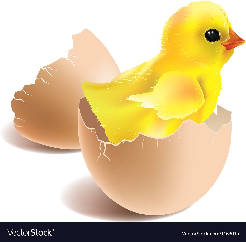 Нарисовать цыпленка в скорлупе