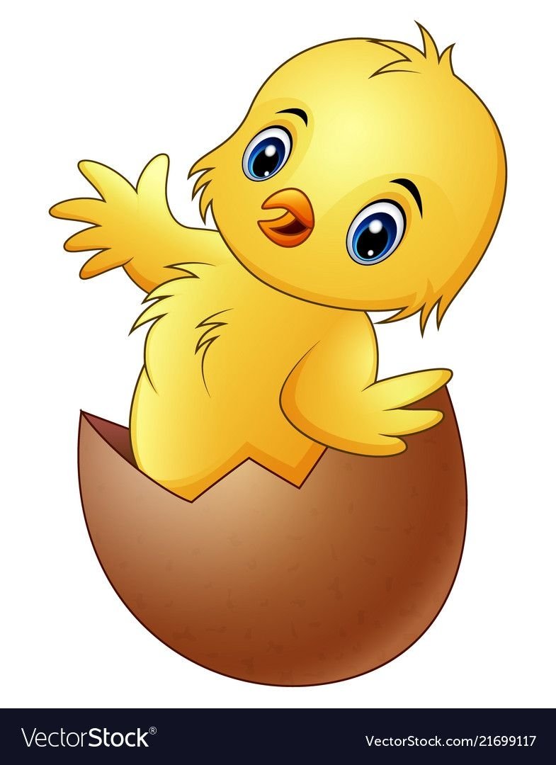 Цыпленок в скорлупе вектор