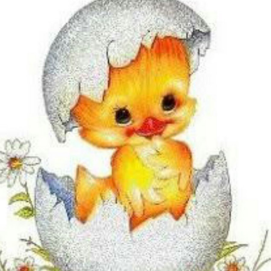 Цыплята для детей в скорлупе